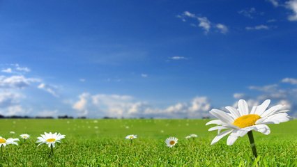 选用纺织印染助剂这些要避免